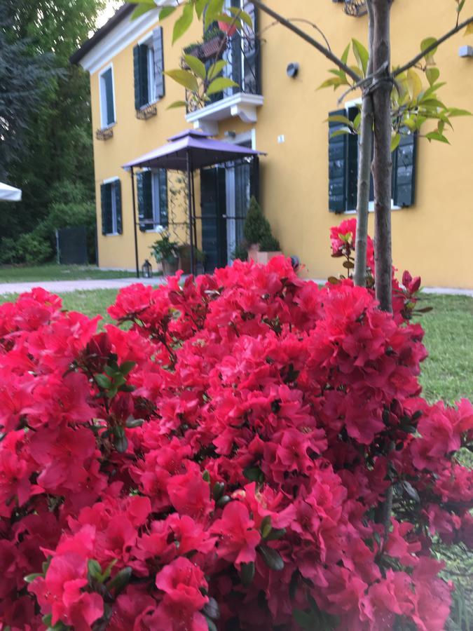 Medoacvs B&B Стра Екстериор снимка